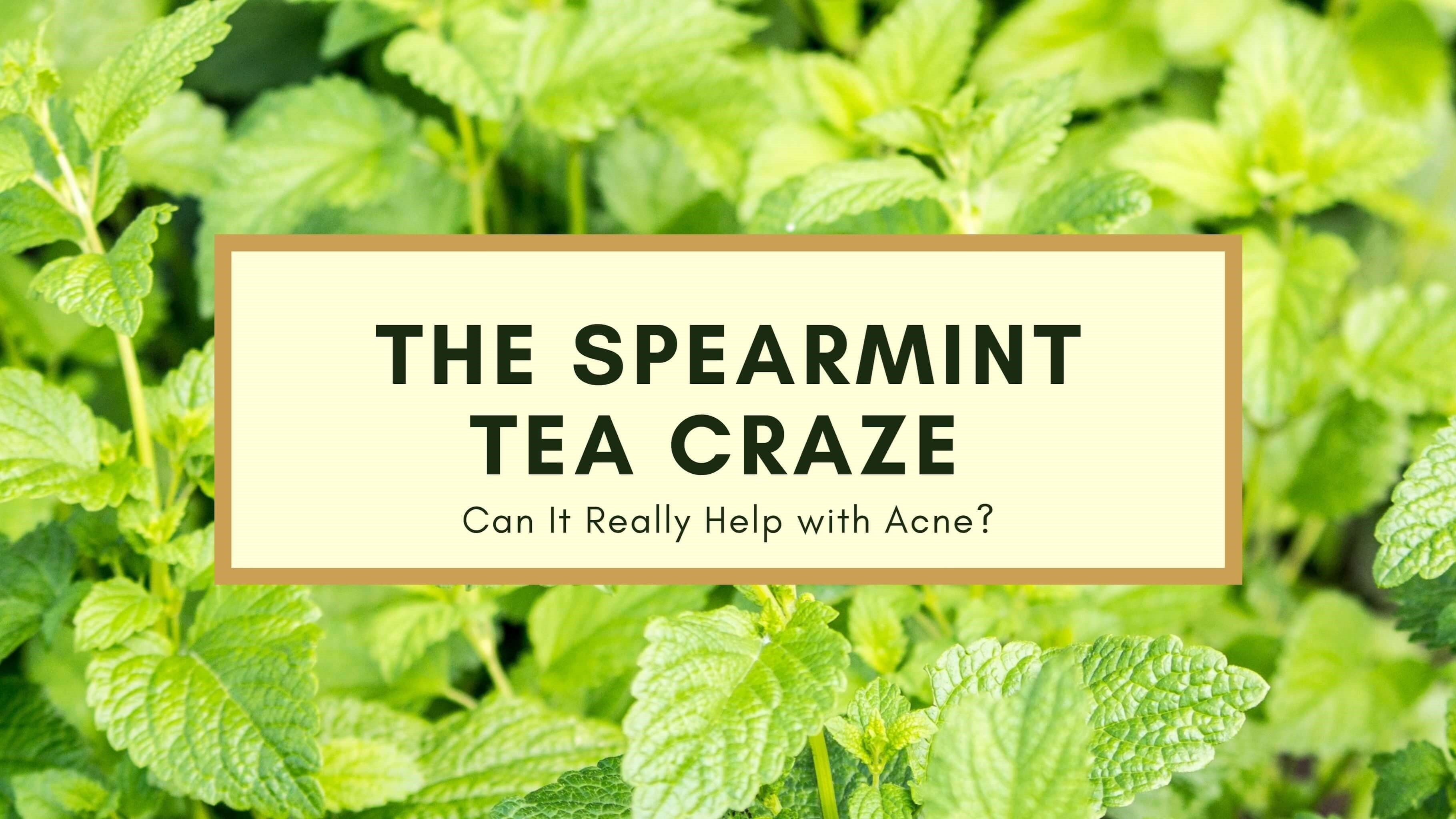 The Spearmint Tea Craze: Can It Really Help With Acne?